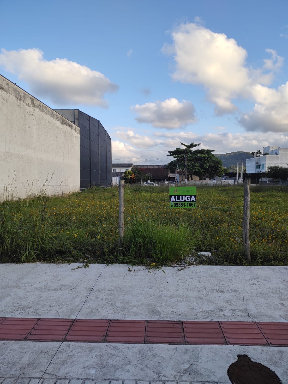 Terreno - Parque dos Bandeirantes - BC