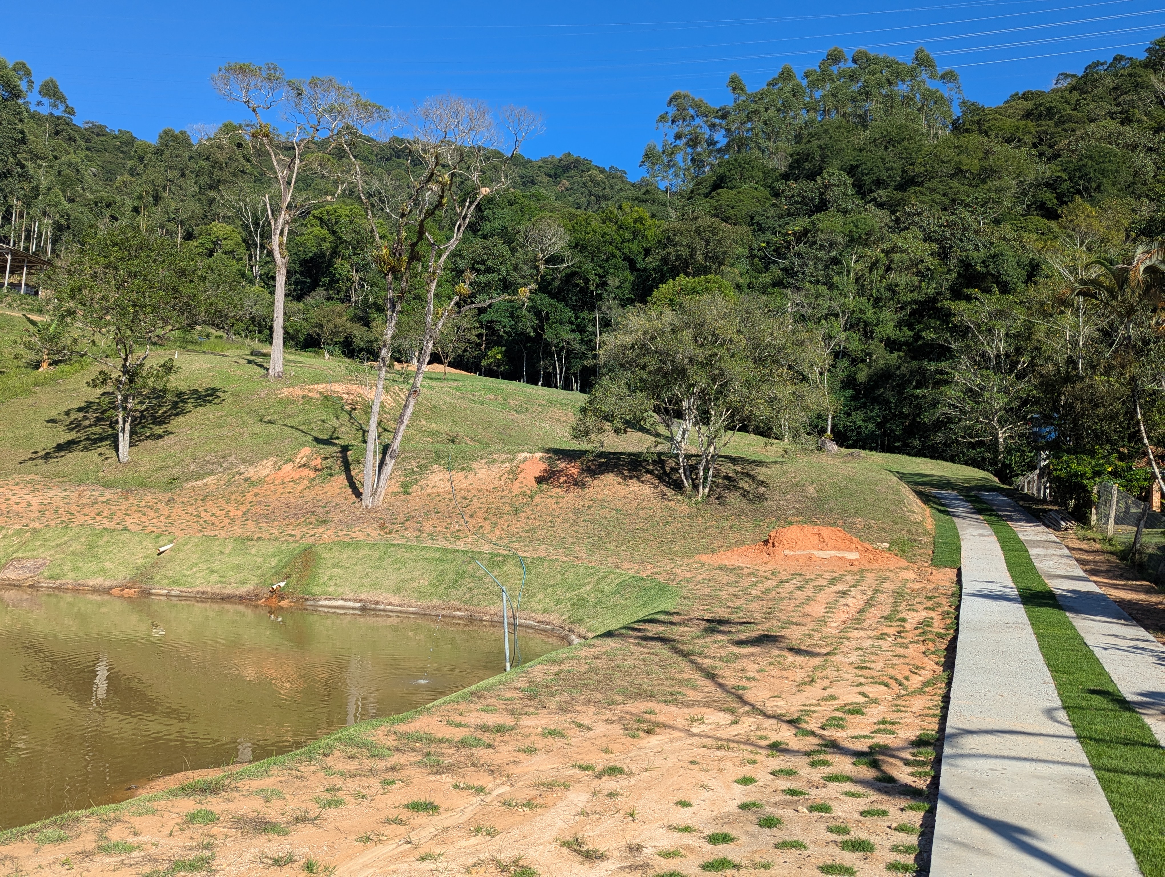Oportunidade - Sítio com lagoa e riacho